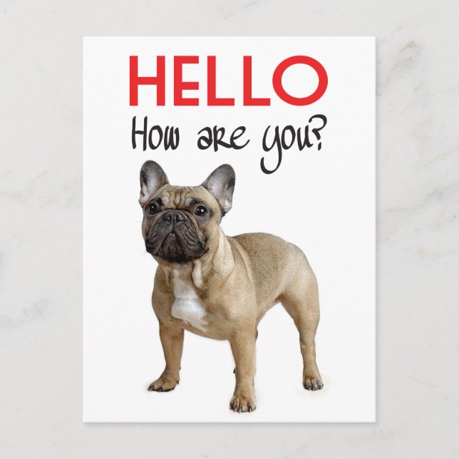 Hello French Bulldog Puppy Dop Card Postkarte (Vorderseite)