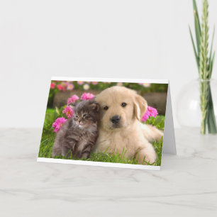 Hello Friend Golden Retriever Puppy Kitcard Karte