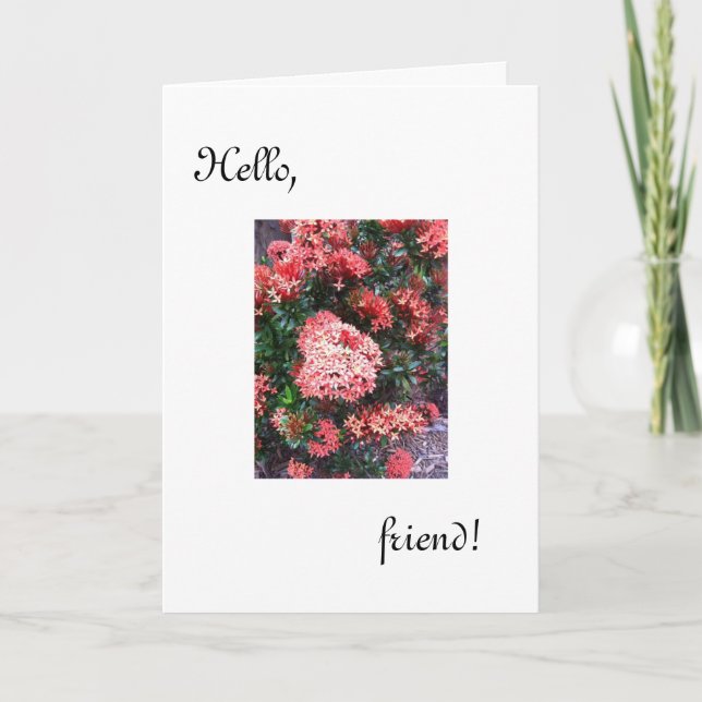 Hello Friend Karte /denken Sie an Sie (Vorderseite)