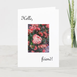 Hello Friend Karte /denken Sie an Sie