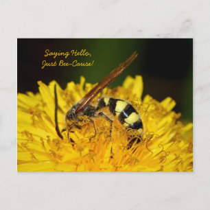 Hello From Bee On Yellow Dandelion Blume Postkarte