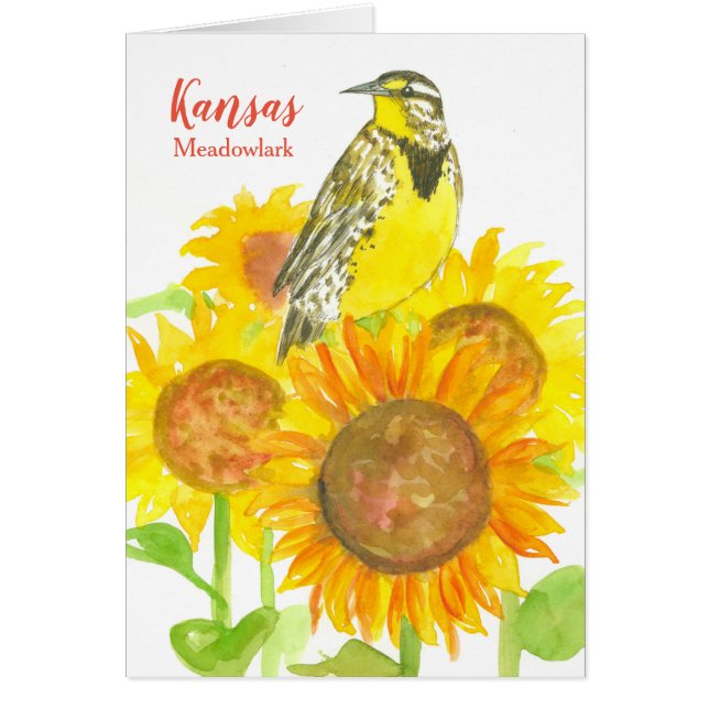 Hello From Kansas Sunflower Wildblume Meadowlark (Vorne)