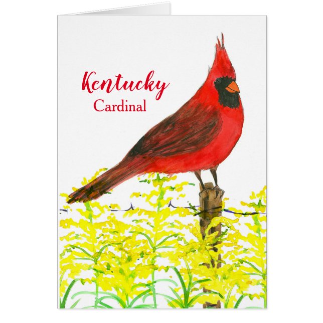 Hello From Kentucky Cardinal State Bird Blank (Vorne)