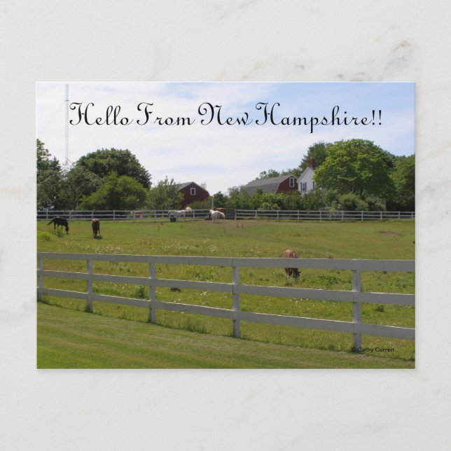 Hello From New Hampshire Postkarte (Vorderseite)
