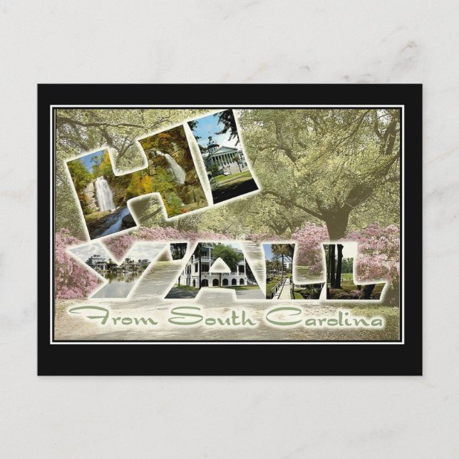 Hello From South Carolina Vintage Travel Postcard Postkarte (Vorderseite)