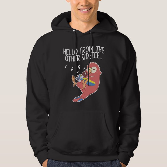 Hello From The Other Side Parrots Bird Scarlet Mac Hoodie (Vorderseite)