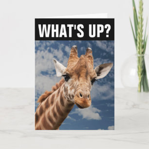 HELLO GIRAFFE GREETING CARD, WAS IST OB? KARTE