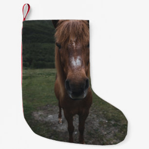 HELLO ICH BIN EIN HORSE KLEINER WEIHNACHTSSTRUMPF