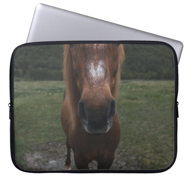 HELLO ICH BIN EIN HORSE LAPTOPSCHUTZHÜLLE (Vorderseite)