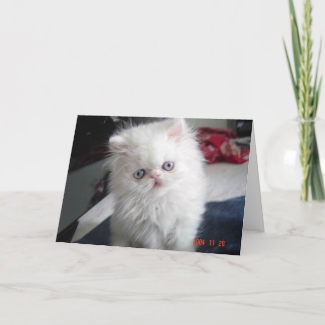 HELLO KITTY! KARTE (Vorderseite)