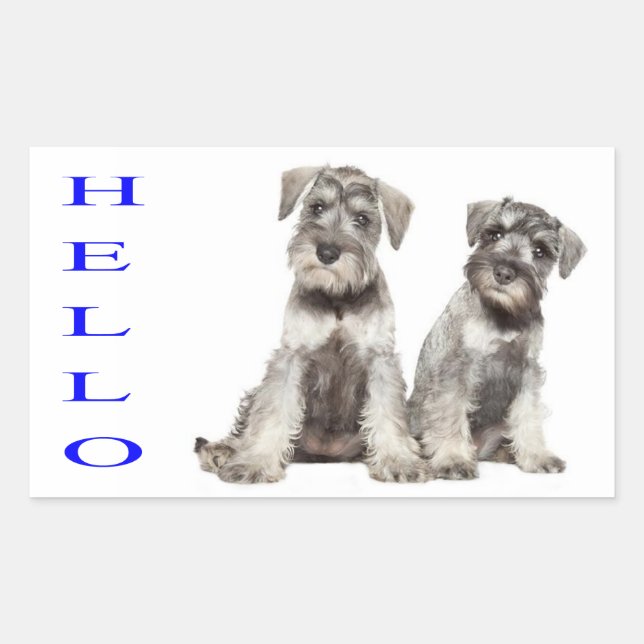 Hello Miniature Schnauzer Welpensticker Label Rechteckiger Aufkleber (Vorderseite)