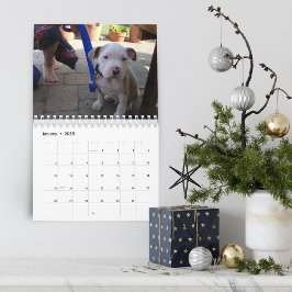 Hello Pet Puppy Custom 2021 Kalender