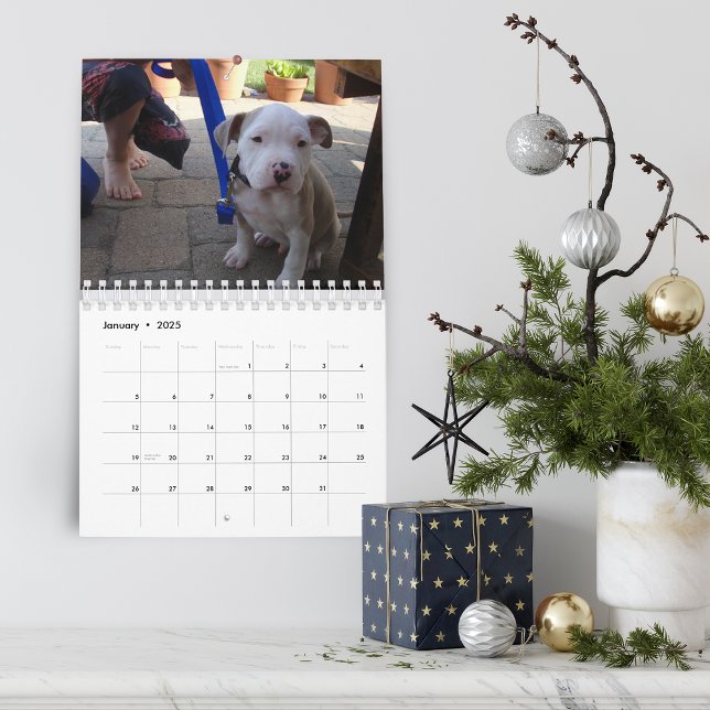 Hello Pet Puppy Custom 2021 Kalender (Hello Pet Puppy Custom Calendar)