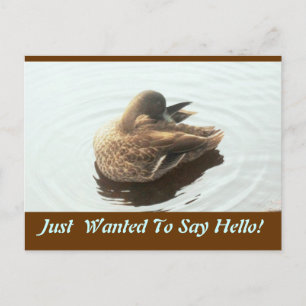 Hello Post Card Postkarte