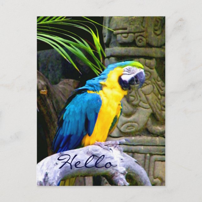 Hello_Postcard Postkarte (Vorderseite)