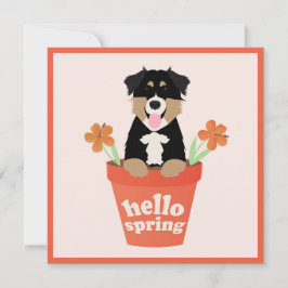 Hello Spring Australian Shepherd Dog in Blume Pot Karte