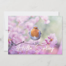 "Hello Spring" Spring Flowering Tree & Robin Bird