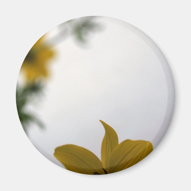 Hello Spring Yellow Flowers Magnet (Vorne)