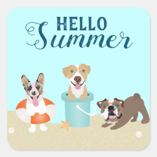 Hello Summer Beach Hogs Blue Orange Quadratischer Aufkleber
