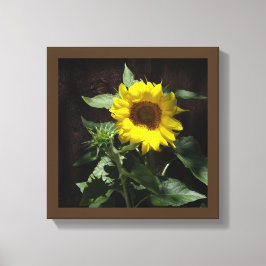 Hello Sunshine - Designer Leinwand Riesenblume