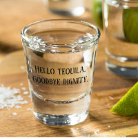 Hello Tequila Goodbye Dignity Funny Drink