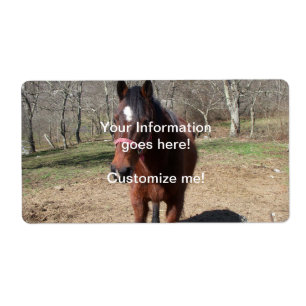 Hello There Horsey