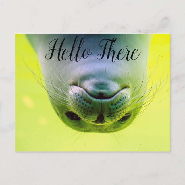 Hello There Siegel Postkarte (Vorderseite)