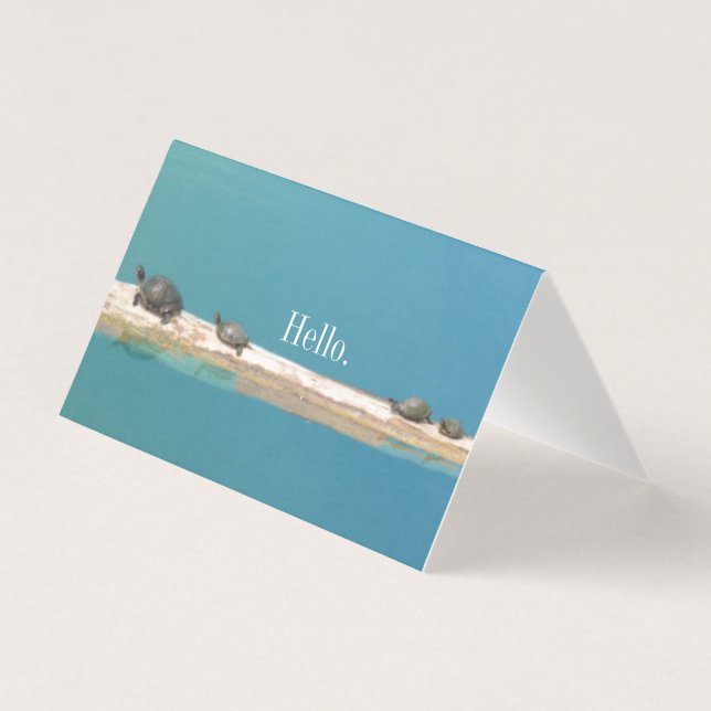 "Hello" Turtle Family Grußkarten (Vorderseite)