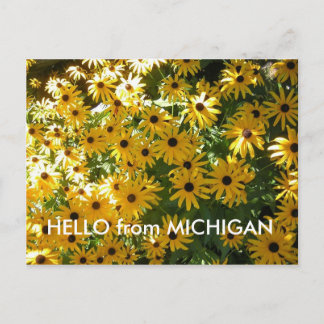 HELLO von MICHIGAN POST CARD POSTCARD Postkarte