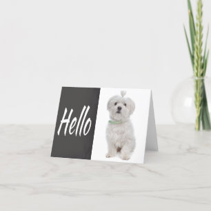 Hello White Maltese Puppy Dog Chalkboard Note Card Karte
