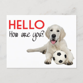 Hello Yellow Labrador Retriever Post Card Postkarte