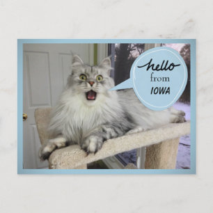 "Helloooo" von IHRER Staat Cat Postkarte
