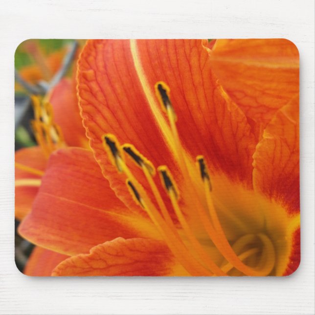 hellorange mousepad (Vorne)