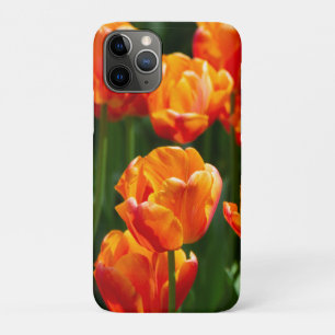 Hellorange Tulpen im Park Case-Mate iPhone Hülle