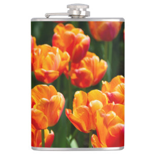 Hellorange Tulpen im Park Flachmann