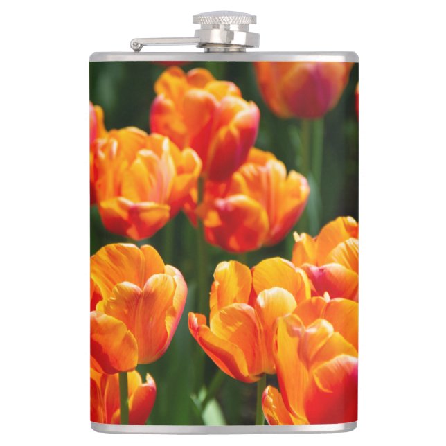 Hellorange Tulpen im Park Flachmann (Vorderseite)