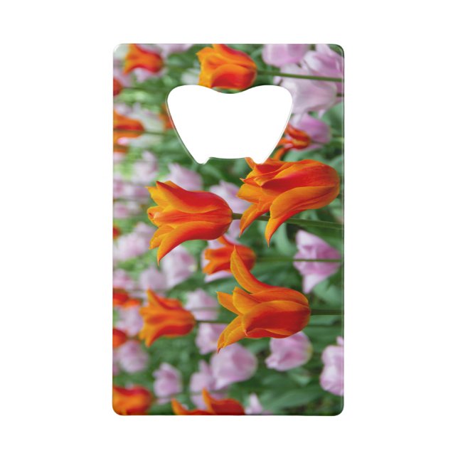Hellorange Tulpen im Park Geldbeutel Flaschenöffner (Vorderseite)