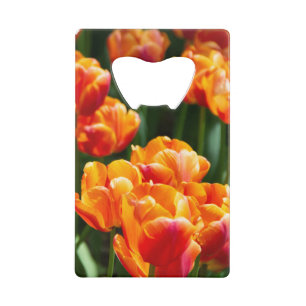 Hellorange Tulpen im Park Geldbeutel Flaschenöffner