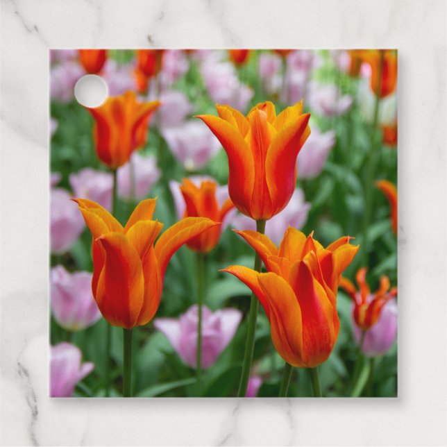 Hellorange Tulpen im Park Geschenkanhänger (Vorderseite)