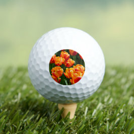 Hellorange Tulpen im Park Golfball