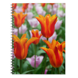 Hellorange Tulpen im Park Notizblock