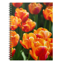 Hellorange Tulpen im Park Notizblock