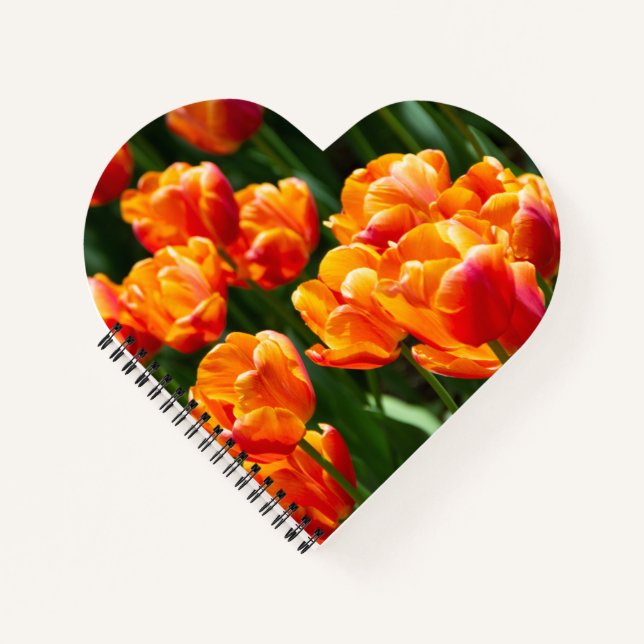Hellorange Tulpen im Park Notizbuch (Vorderseite)