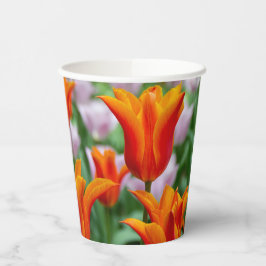 Hellorange Tulpen im Park Pappbecher