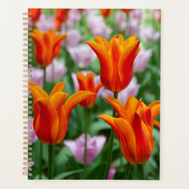 Hellorange Tulpen im Park Planer