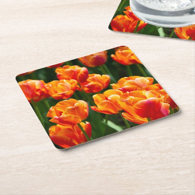 Hellorange Tulpen im Park Rechteckiger Pappuntersetzer (angewinkelt)