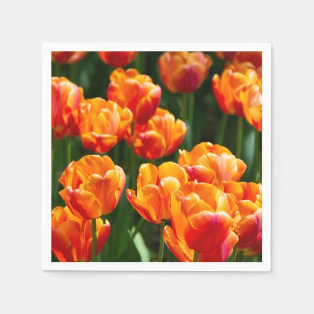 Hellorange Tulpen im Park Serviette (Vorderseite)