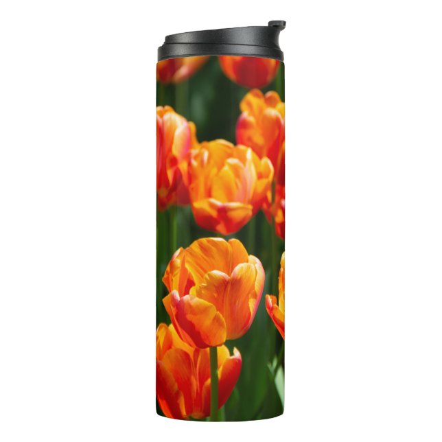 Hellorange Tulpen im Park Thermosbecher (Nach links gedreht)