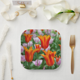 Hellorangefarbene Tulpen im Parkpapier-Teller Pappteller