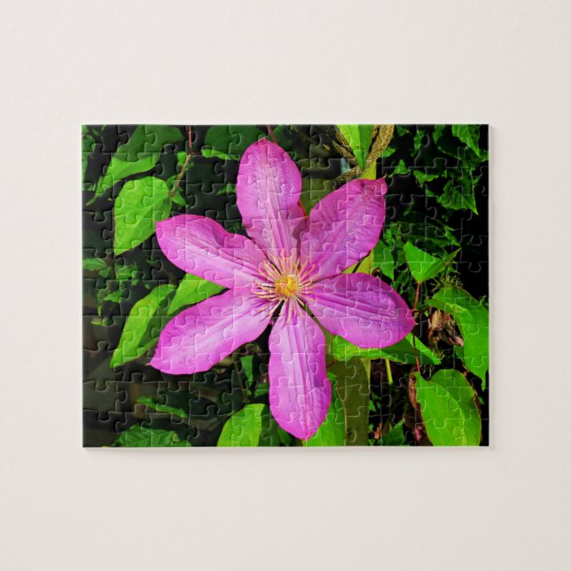 Hellrosa Blume Blühen und grüner Hintergrund Puzzle (Horizontal)